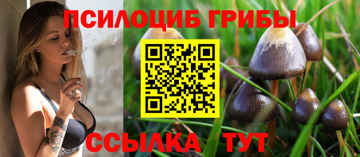 Галлюциногенные грибы ЛСД Можга